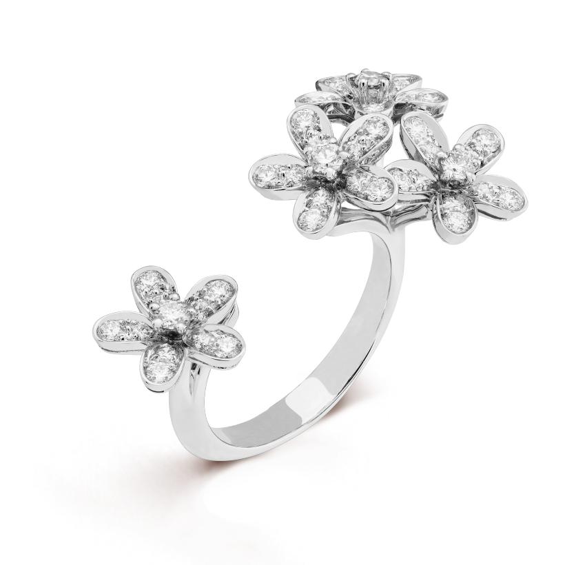 Van Cleef & Arpels ソクラテ フィンガー リングの新着