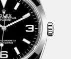 エクスプローラー オイスター 36 mm オイスタースチール