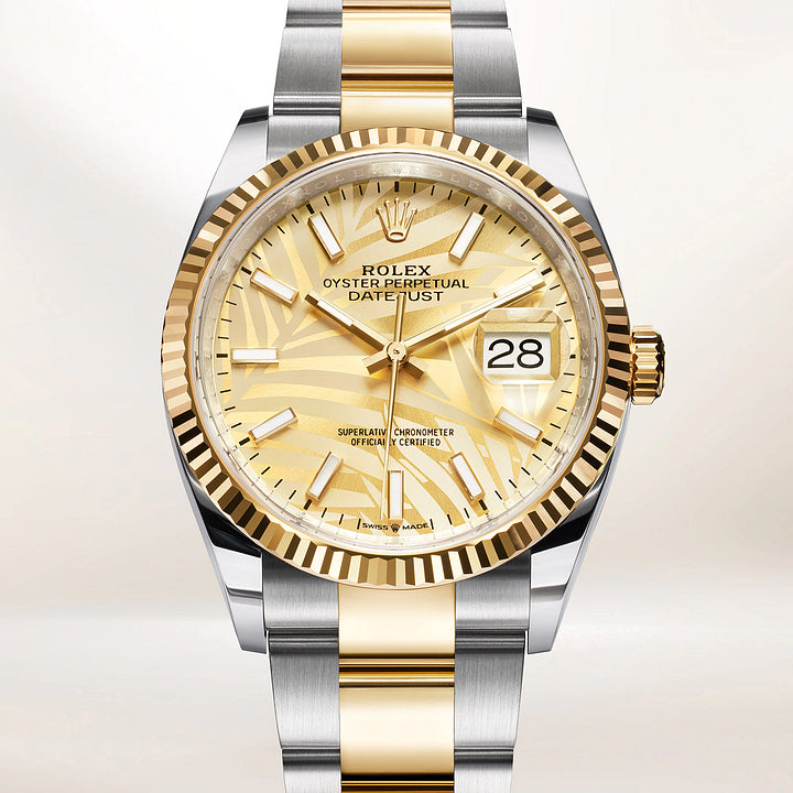 デイトジャスト 36 オイスター 36 mm オイスタースチール＆イエローゴールド