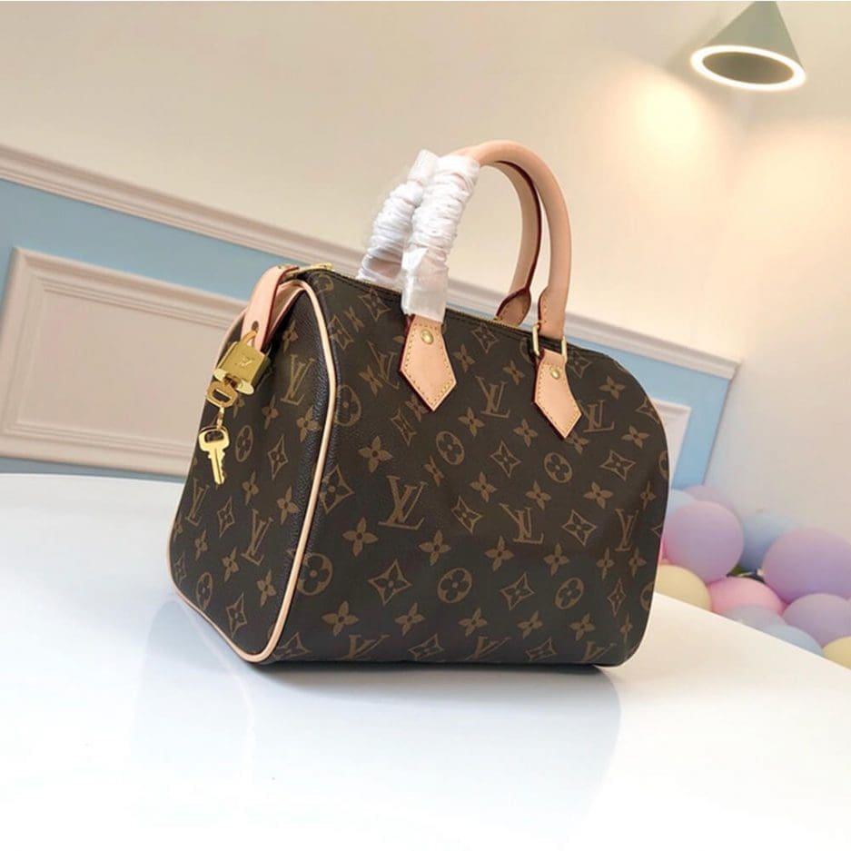 ルイ・ヴィトン スピーディ 25 M41109